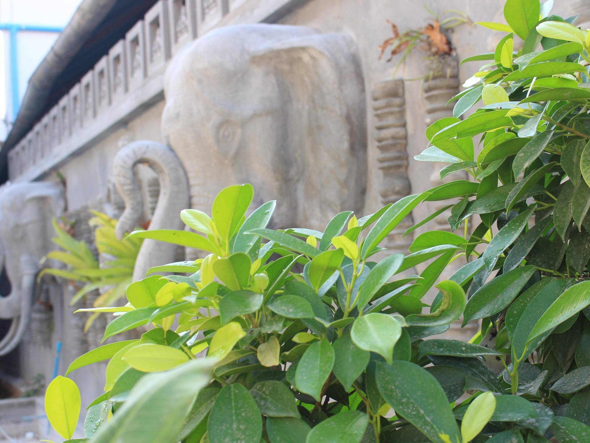 Fancy Boutique Villa Hotel Siem Reap Exteriör bild